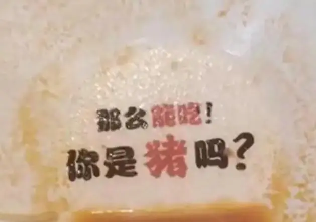 是嘲讽还是幽默？游客吃面发现碗底印着“你是猪吗”