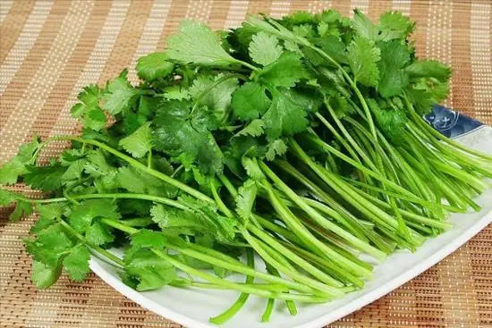 香菜竟是餐桌上的消炎药！常吃可改善代谢、减轻疲劳