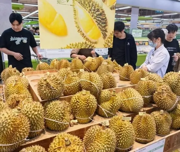 榴莲价格大跳水 仅需13块8一斤即可实现榴莲自由？