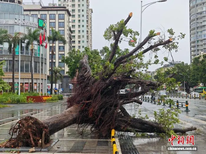 台风“美莎克”影响三亚：树木倒伏，路面积水
