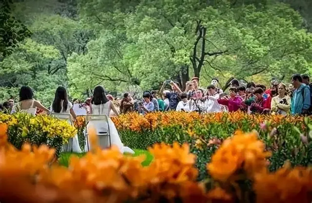 2026旅游业现状：“奄奄一息”的商户，甚至没有最后的力气去哀嚎