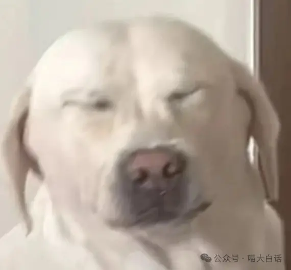 “千万不要秒回对象的信息！！”哈哈哈哈哈还能后悔吗！！