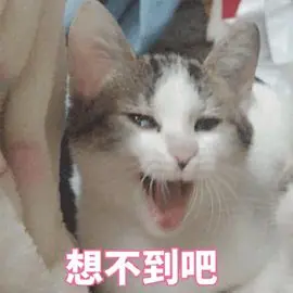 《西游记》:不好,AI这波冲我来了!