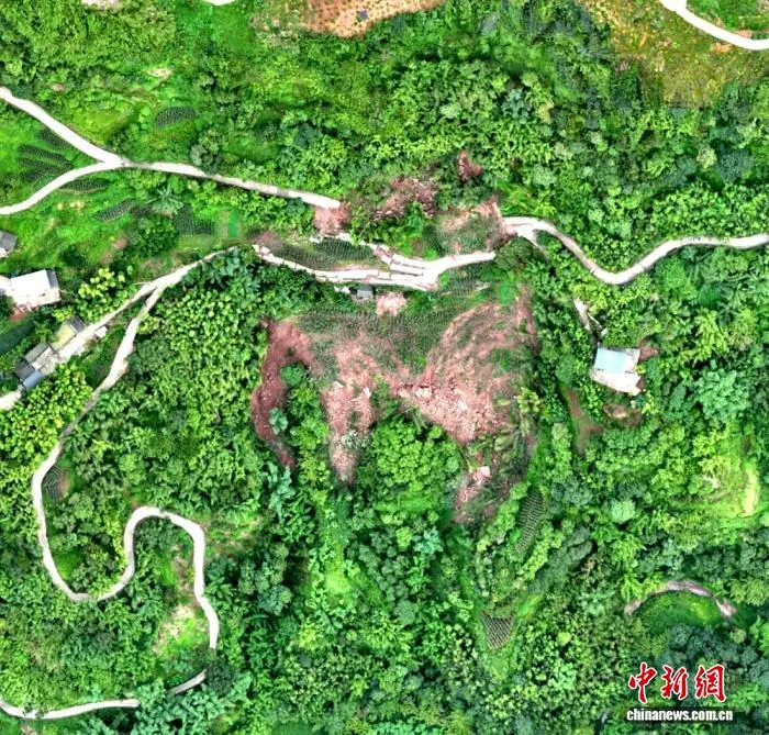 四川合江：暴雨诱发山体滑坡险情 镇村联动14名村民化险为夷