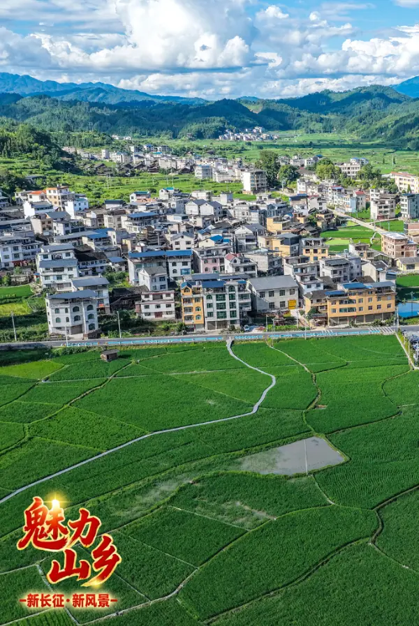 魅力山乡丨一个“红军村”，产业兴盛红歌亮
