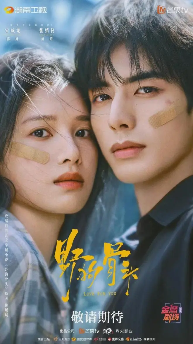 宋威龙新剧《野狗骨头》全网有效播放量破1.5亿！