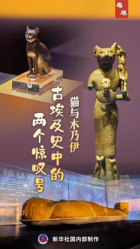 看展丨猫与木乃伊：古埃及史中的两个惊叹号