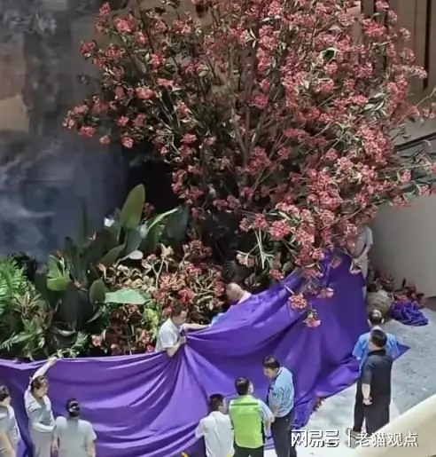突发！西安62岁亿万富豪商场坠楼身亡 千万罚单遗书内容曝光