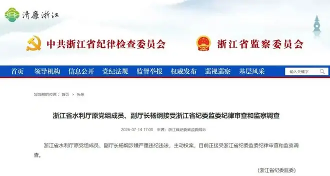 浙江省水利厅原副厅长杨炯，主动投案