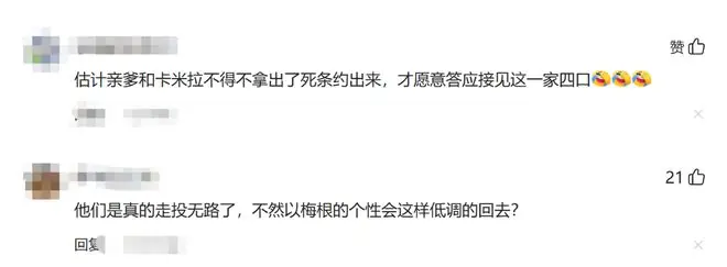 高下立见！卡米拉王后招待哈里一家，梅根心态改观，王子“尴尬”