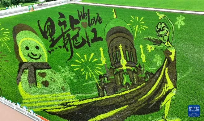 “北大仓”稻田画：黑土地上绘“丰”景
