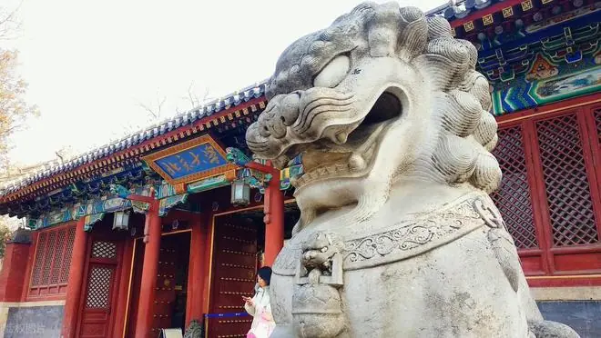 高考提前批：北大没招满，多所院校没录满，征集志愿真能捡漏吗？