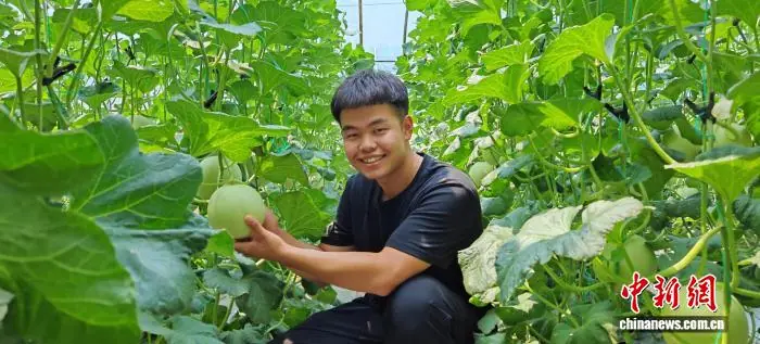山西“00后”体育教练跨界种瓜：一部手机玩转智慧农业