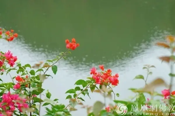 一日禅：小满