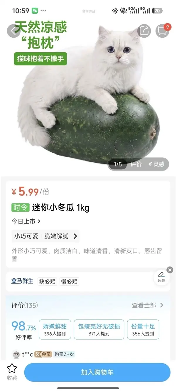 迷你冬瓜宠物凉枕宣传图比例失真引争议，品牌紧急调整视觉呈现