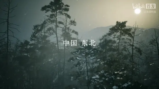 抵抗者登陆2026 ChinaJoy，首款抗战题材FPS首次开放试玩